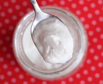 Coconut Yogurt (probiotic, dairy-free, vegan)