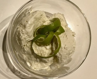 QUÉ ES Y CÓMO SE USA UNA HELADERA (Receta de helado de yogur, lima y wasabi)