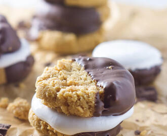 Chocolate Dipped Peanut Butter SMores