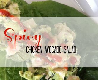 Spicy Avocado Chicken Salad Wraps