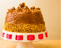 Chocolate Hazelnut Layer Cake with Nutella and Coconut Frosting!