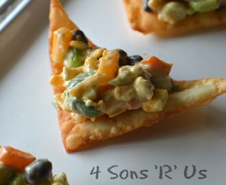 Southwestern Egg Roll Dip with Wonton Chips