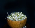 How To Make Sprouts At Home / Homemade Green Gram Sprouts Recipe