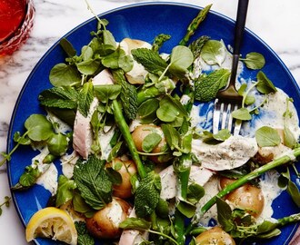 Warm Chicken Salad with Asparagus and Creamy Dill Dressing
