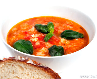 Tomaten Brotsuppe mit Basilikum