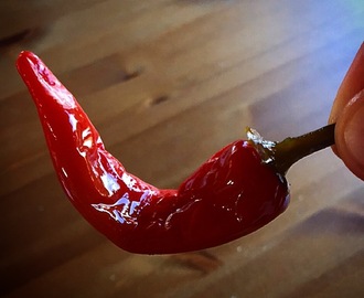 Picklad chili! Så vansinnigt gott!