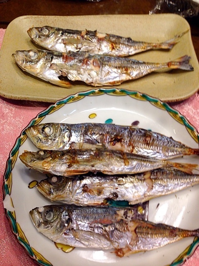 アジの塩焼き Grilled horse mackerel