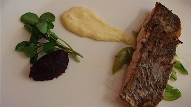 Seared jewfish with a parsnip cream, saute'ed snow peas and a beetroot and Quandong compote.