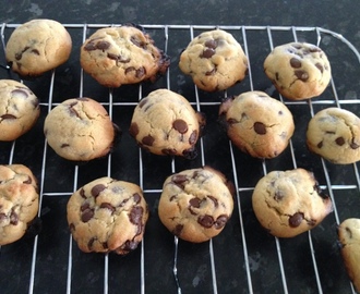 Chewy Chocolate Chip Biscuits in the Bellini (BIKM)