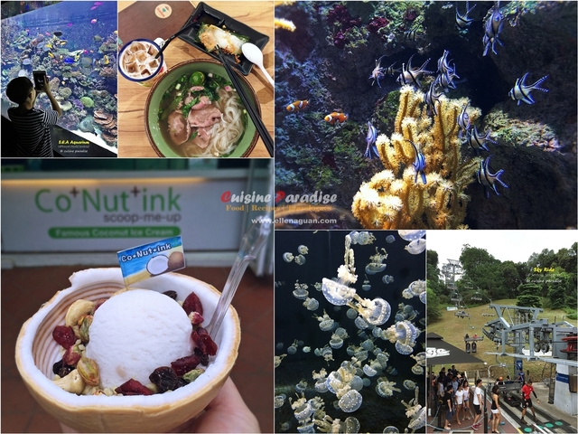 [Resort World Sentosa] S.E.A Aquarium, Skyride & Food