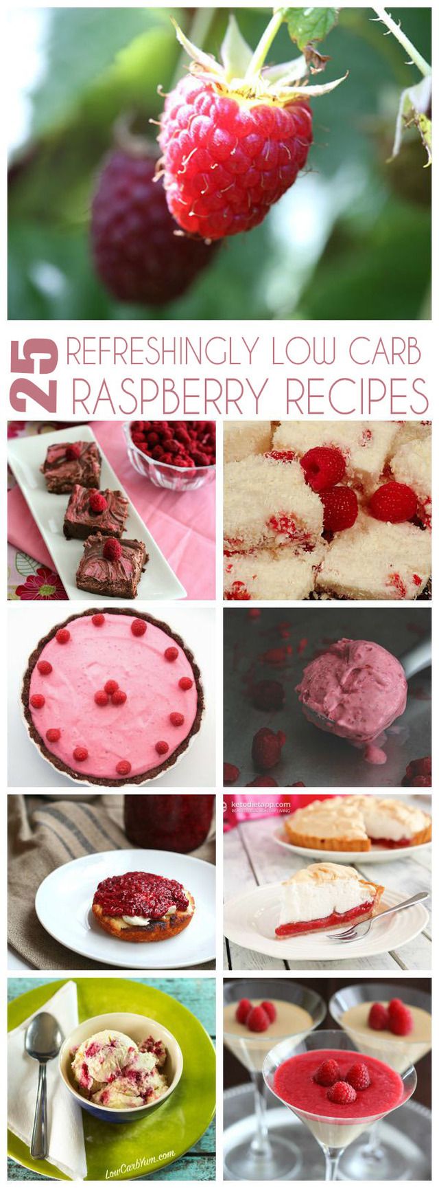 25 Refreshing Low Carb Raspberry Recipes