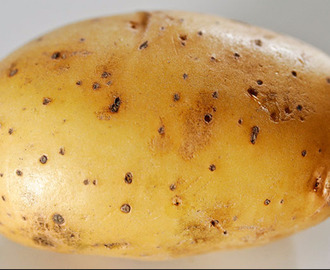 Bakad potatis med räkröra