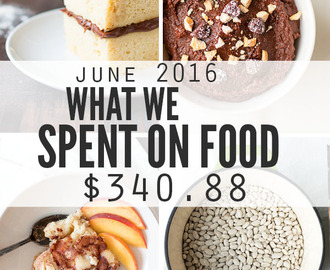 Living on a Food Budget: June 2016