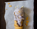 Wild Blueberry with Toasted Crumbs Ice Cream