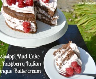 Mississippi Mud Cake with Raspberry Italian Meringue Buttercream – Bake of the Week