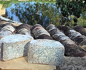 Blau d'Osona -octubre-12 formatges per un any-