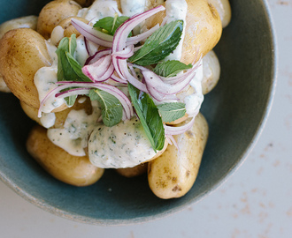 baby potato salad with minted yoghurt dressing recipe