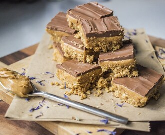 Peanut Butter and Chocolate Biscuit Squares