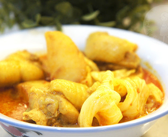 Tasty Curry Chicken 咖喱鸡