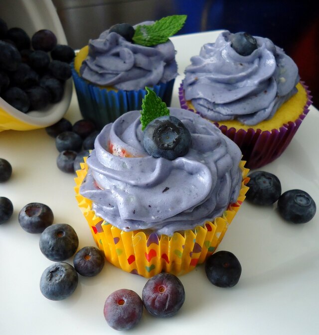 Lemon Blueberry Cupcakes with Blueberry Cream Cheese Frosting (and some Big Real Life News!!)
