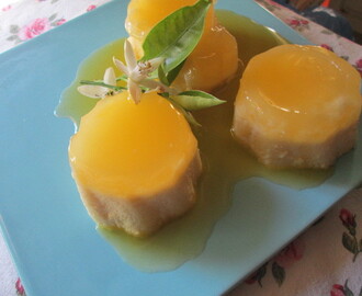 Cointreau Bavarois dessert  with orange sauce   (jalea de cointreau con salsa de naranja)