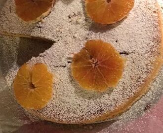 Torta all’arancia col Bimby