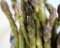 asparagus #carbonara
