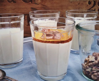 Yoghurt panna cotta met honing en walnoten
