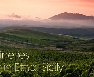 Top wineries to visit in Etna, Sicily