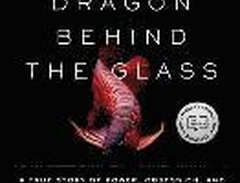 The Dragon Behind the Glass