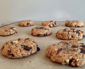 Delicious Chocolate Chip Protein Cookies