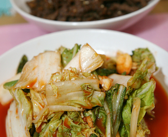 4 hour instant kimchi