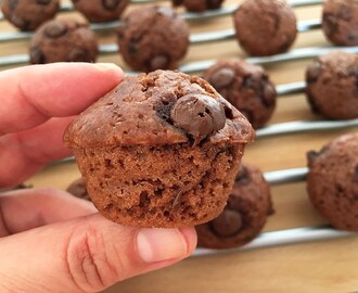 Chocolate chip mini muffins – un bocado no muy dulce delicioso
