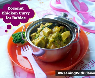 Coconut Chicken Curry for Babies