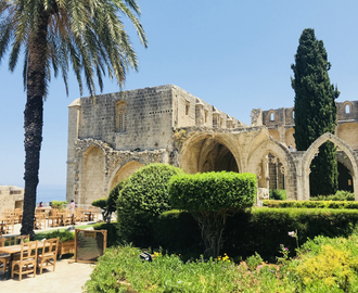 Det okkuperte Kypros