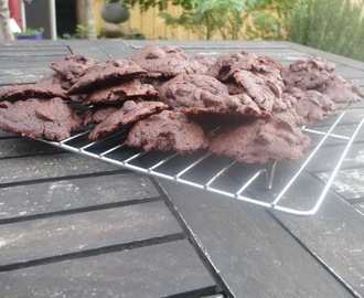 Double chocolate and raisin biscuits - for Sweet New Zealand