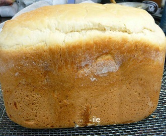 Pan blanco