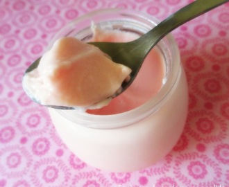Iogurte de gelatina de melancia - Bimby Tm5