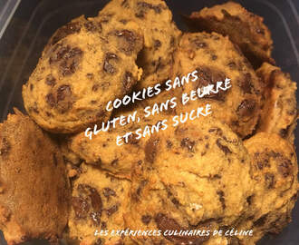 Cookies moelleux sans gluten sans lactose et sans sucre