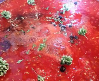 Sauce tomates maison aux épicés et à l'origan sauvage