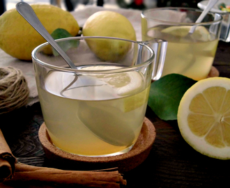 Tisana dimagrante al miele limone e cannella