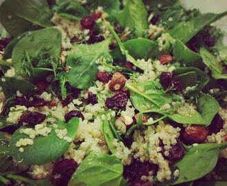 Cranberry & Hazelnut Quinoa Salad