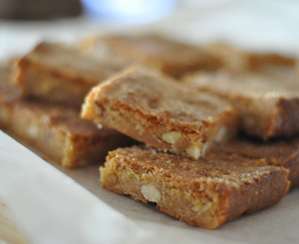 Thermomix Recipe :: Almond and Ginger Slice