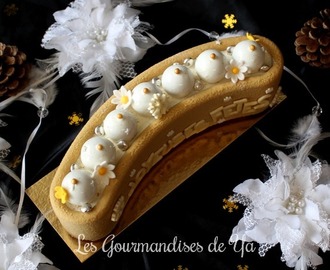 Bûche marron, vanille et cassis – Foodista Challenge n°26