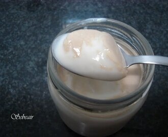 YOGUR DE GALLETAS  (yogurtera y thermomix)