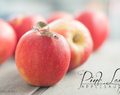 Pink Lady Applesauce  |  Instant Pot & Stove Top