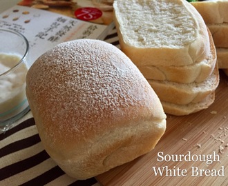 Sourdough White Bread 酸种白面包