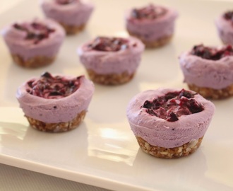Raw Vegan Blueberry & Cashew Mini Cheesecakes