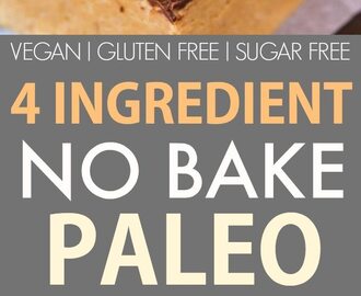 4 Ingredient No Bake Paleo Protein Bars (Vegan, Gluten Free, Sugar Free)