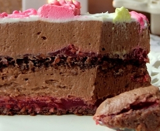 Neodoljivo ukusna torta s malinama i čokoladom
